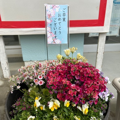 あの6年間が、今日につながった🌸